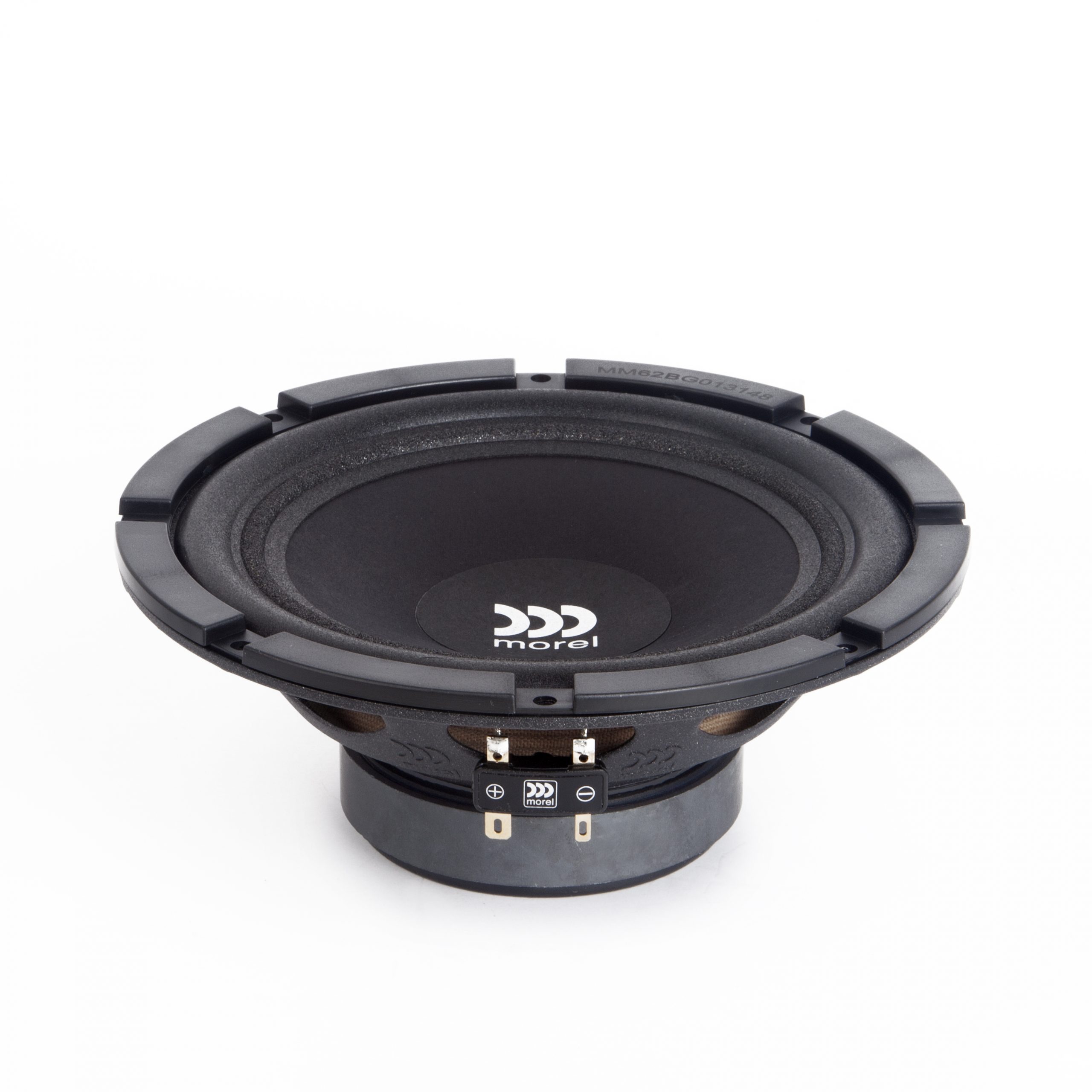 Maximo 6 MKII – Morel Australia